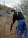 seed collecting